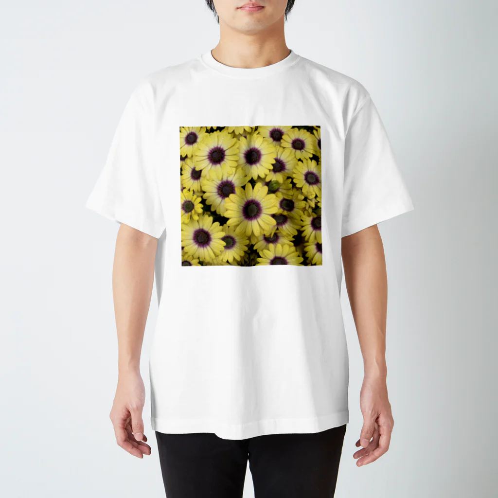 N-Photography のYellow Flowers 1 スタンダードTシャツ