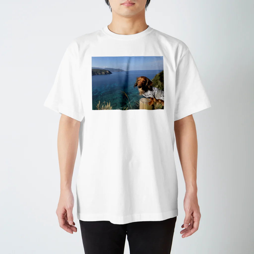 ナンバープレート風Ｔシャツのダックスフンド×Tシャツ（アップル×奄美大島） スタンダードTシャツ