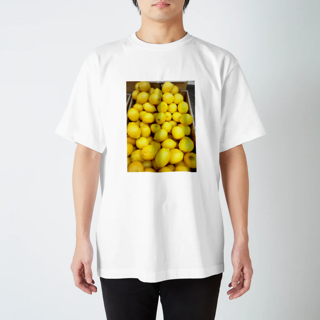 秋のレモン Regular Fit T-Shirt