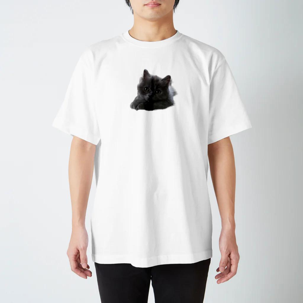 sua_britishblueの子猫のスアちゃん スタンダードTシャツ