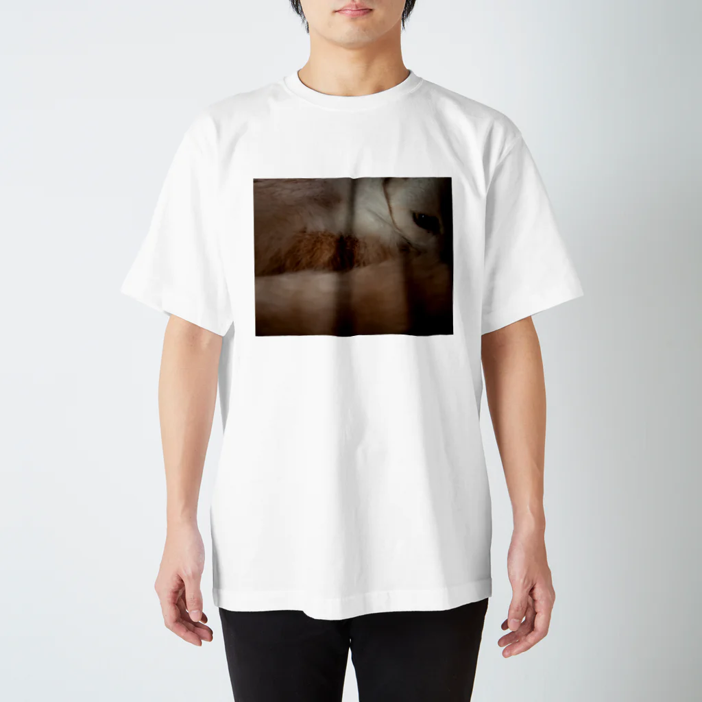 sanada_yurikoの猫のめぢから Regular Fit T-Shirt