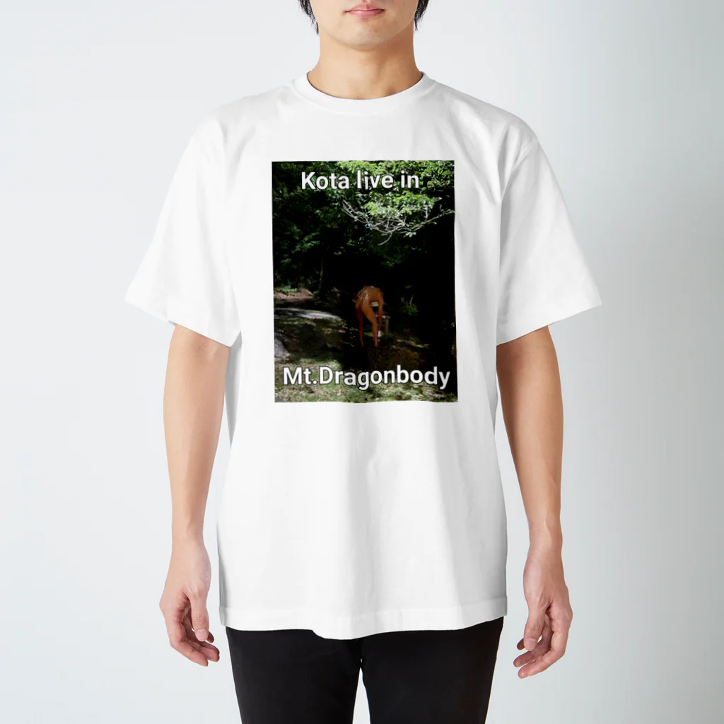 たQまのMt. Dragonbody スタンダードTシャツ