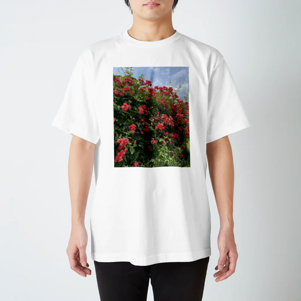 Zunco☺︎のrose garden🌹 スタンダードTシャツ