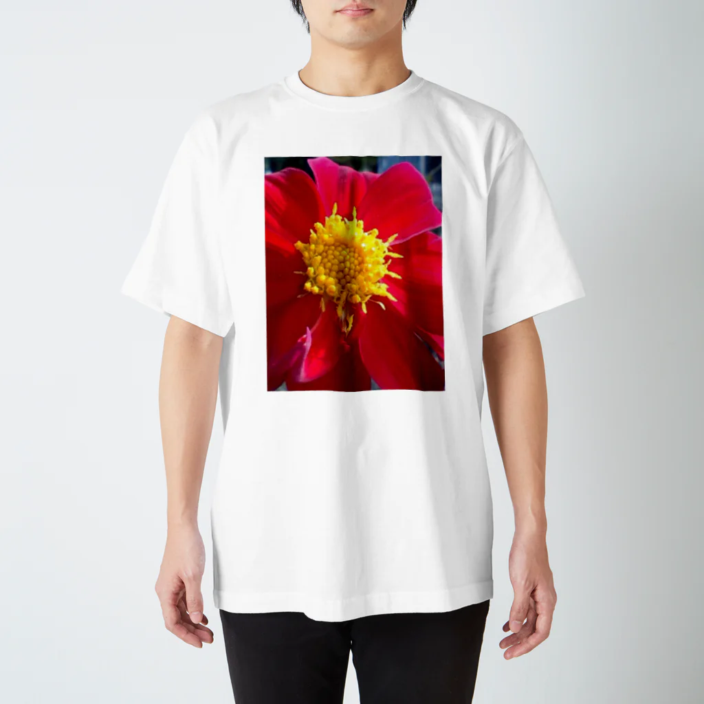 Dreamscape(LUNA)の鮮烈なお出迎え Regular Fit T-Shirt