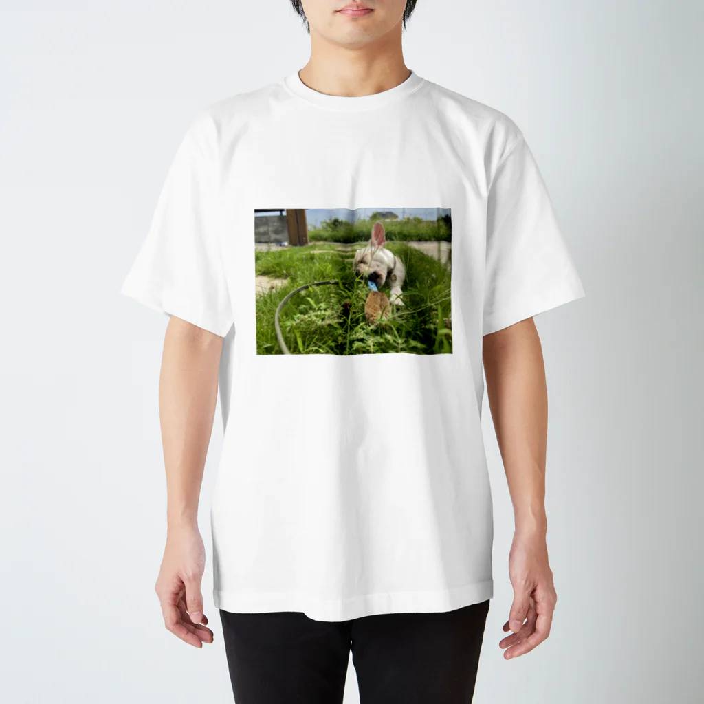 ゲトーファンクの愛犬　せんず君　Tシャツ スタンダードTシャツ