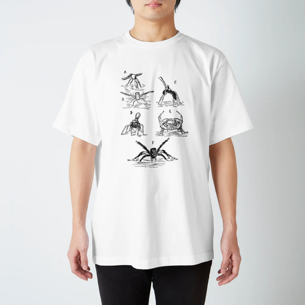 砂肝のさまざまな異なるクモの舞踏 スタンダードTシャツ