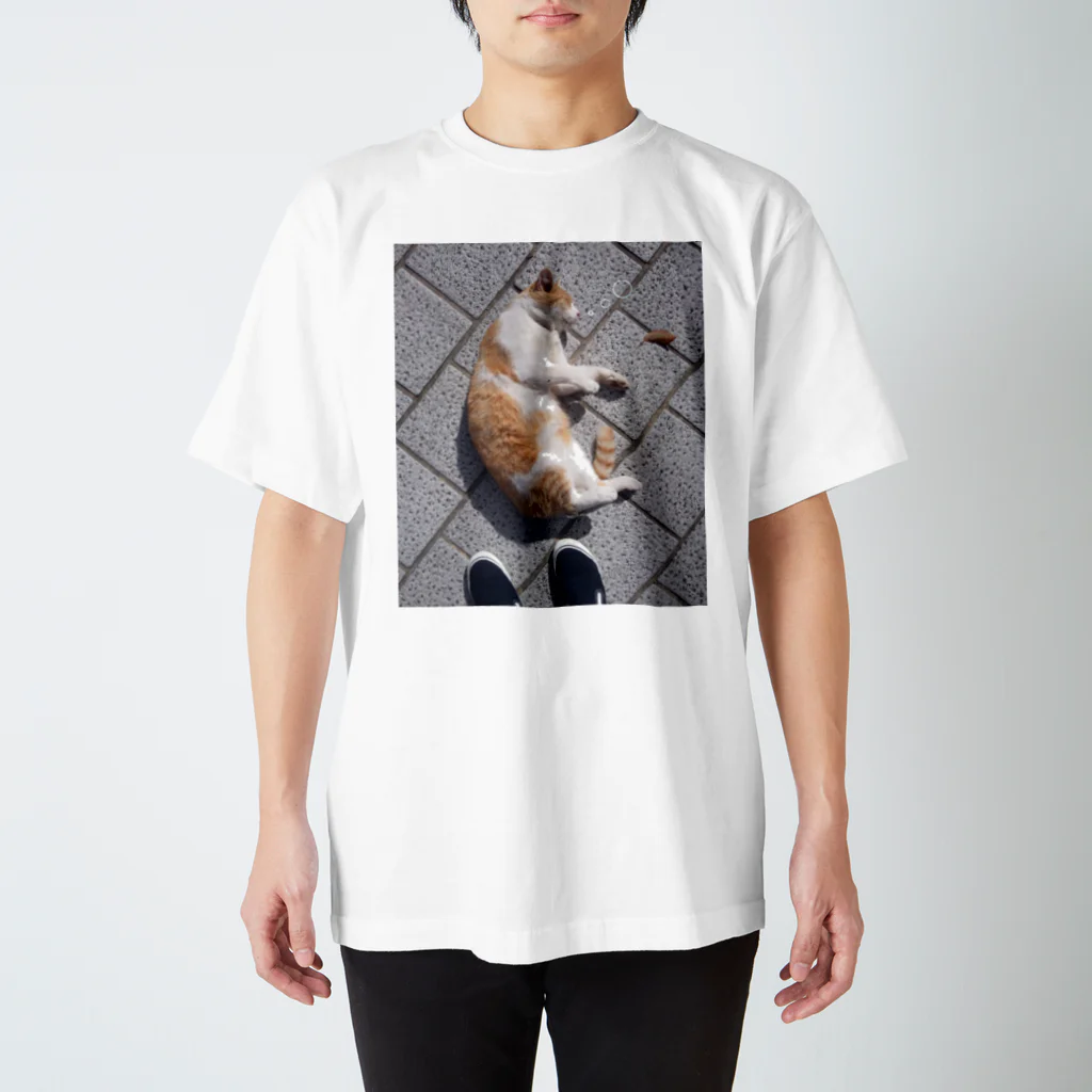 とりちゃん。の余韻に浸るのらねこ スタンダードTシャツ