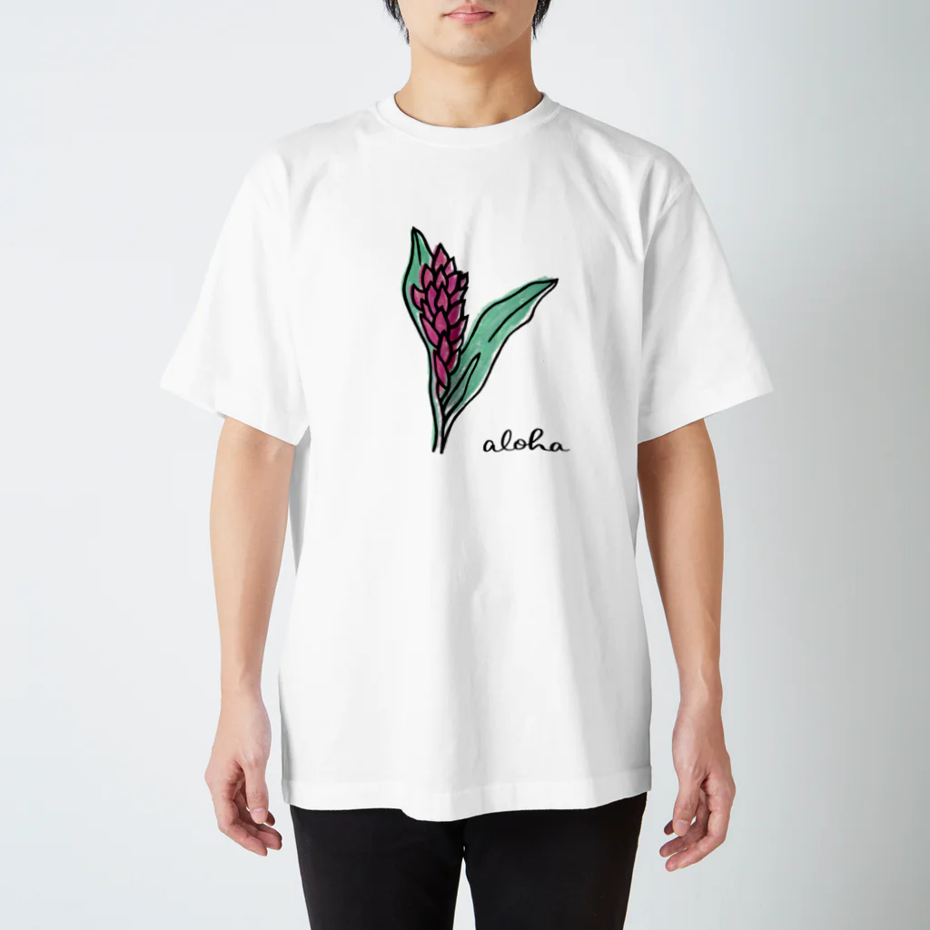 FONTANA-az-のaloha アヴァプヒ　カラー スタンダードTシャツ