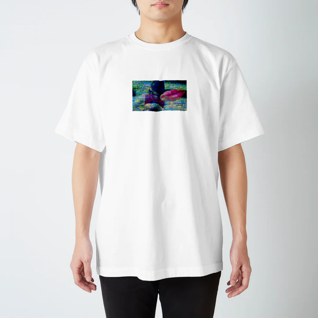 だまちゃんの生きてる世界のしゃしん スタンダードTシャツ