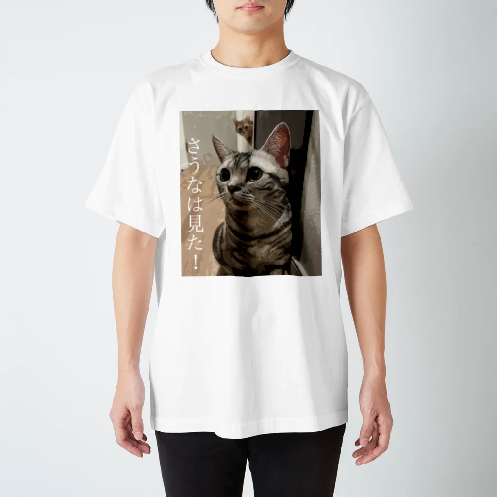 menma_saunaのさうなは見た！ Tシャツ スタンダードTシャツ