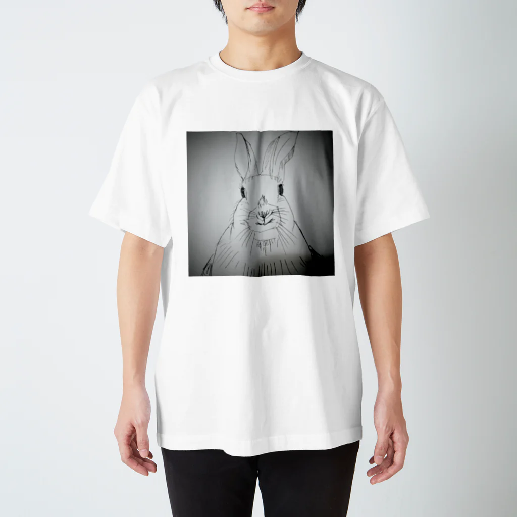 Kumya37のPeter rabbit スタンダードTシャツ