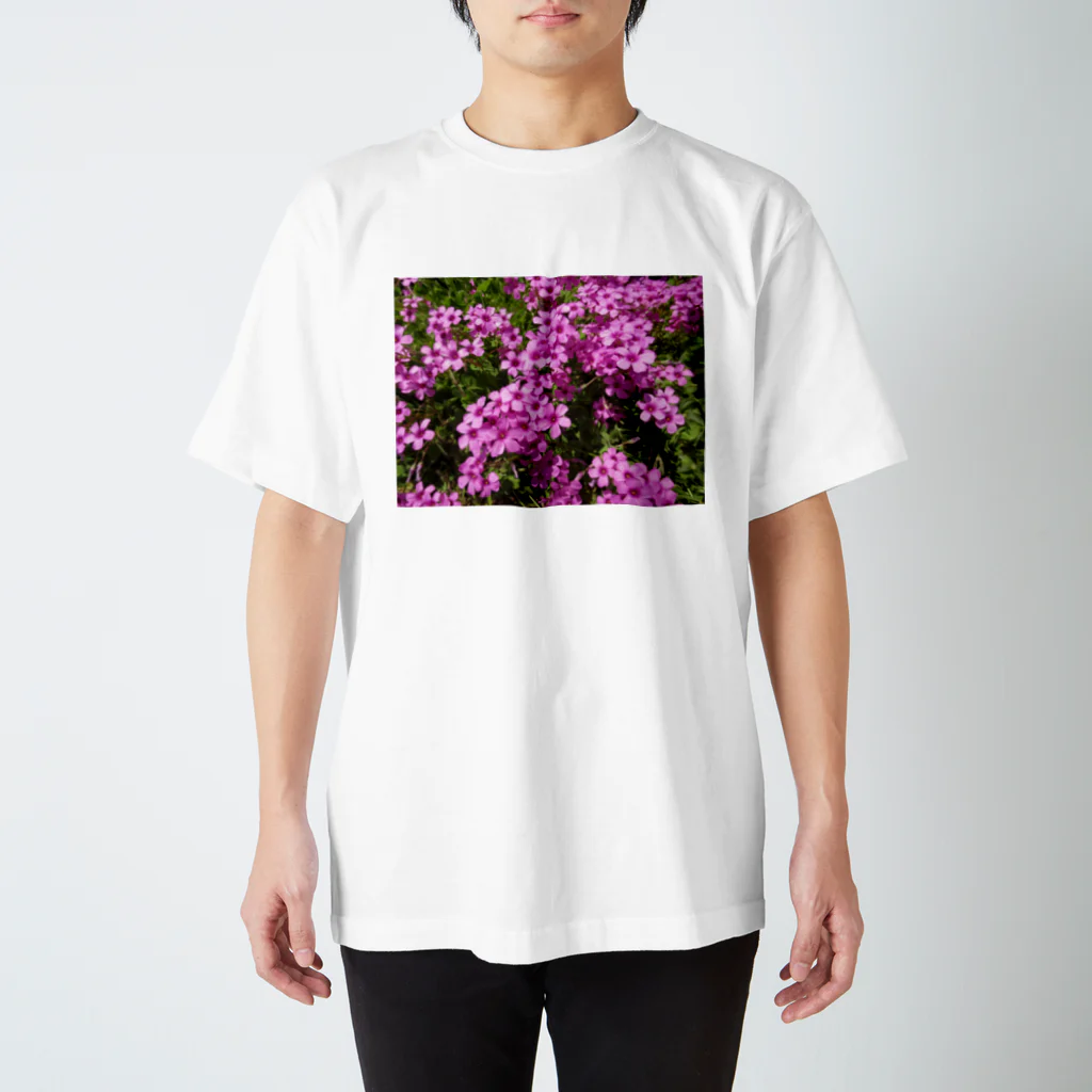 Dreamscape(LUNA)の野の花の可憐さ・・・ スタンダードTシャツ