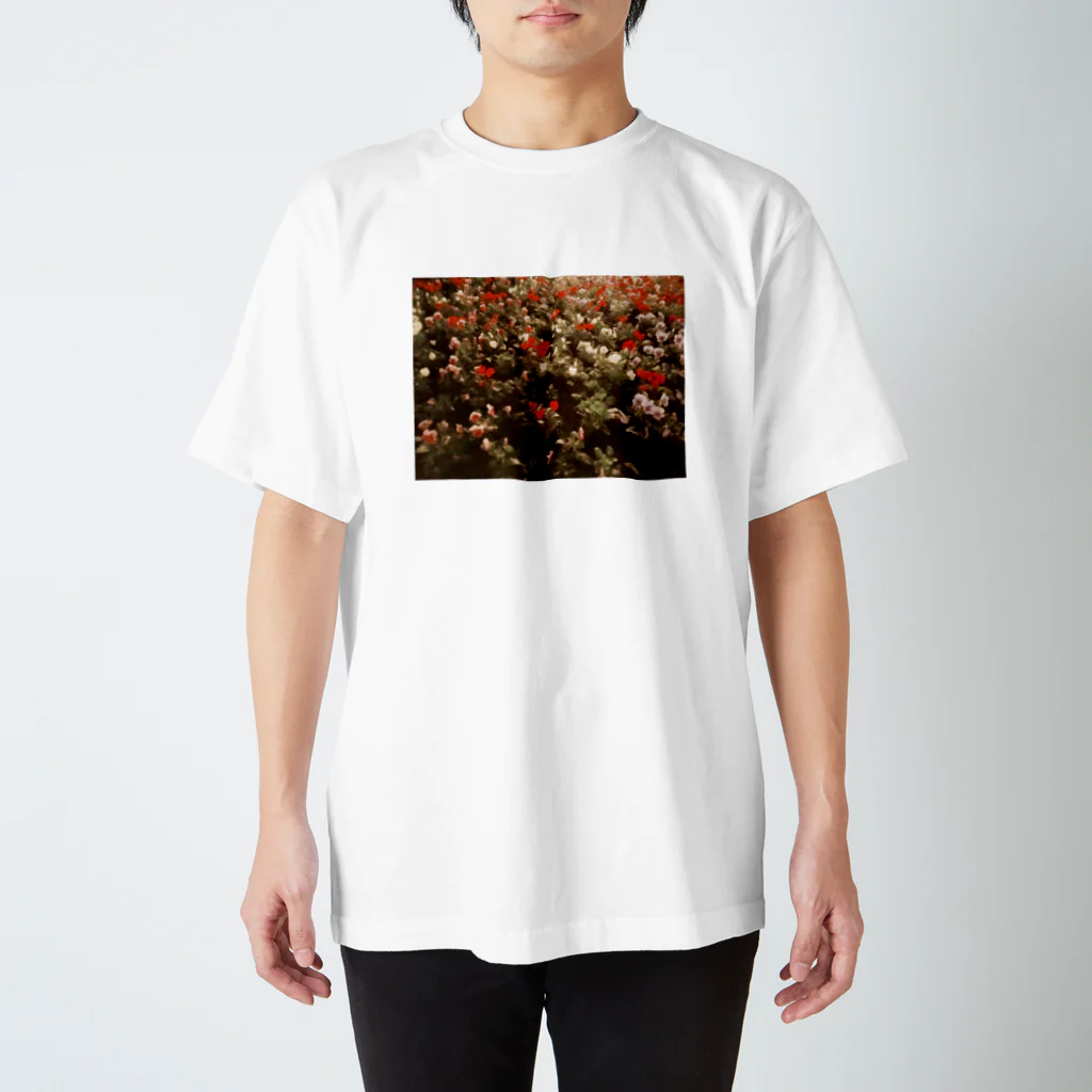 クルミの夜の花壇 スタンダードTシャツ