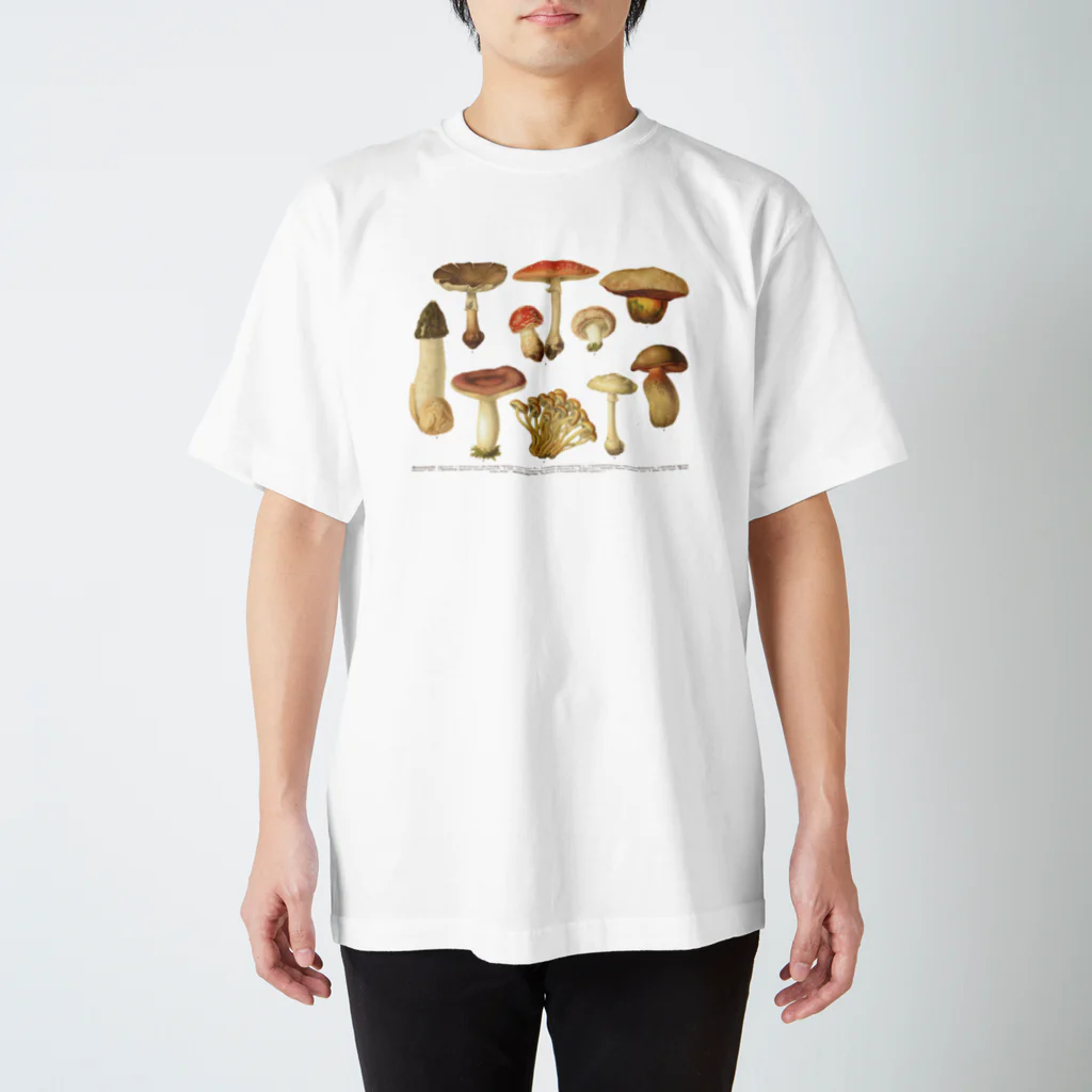 古書　天牛書店の食べられないきのこ＜博物図＞ スタンダードTシャツ