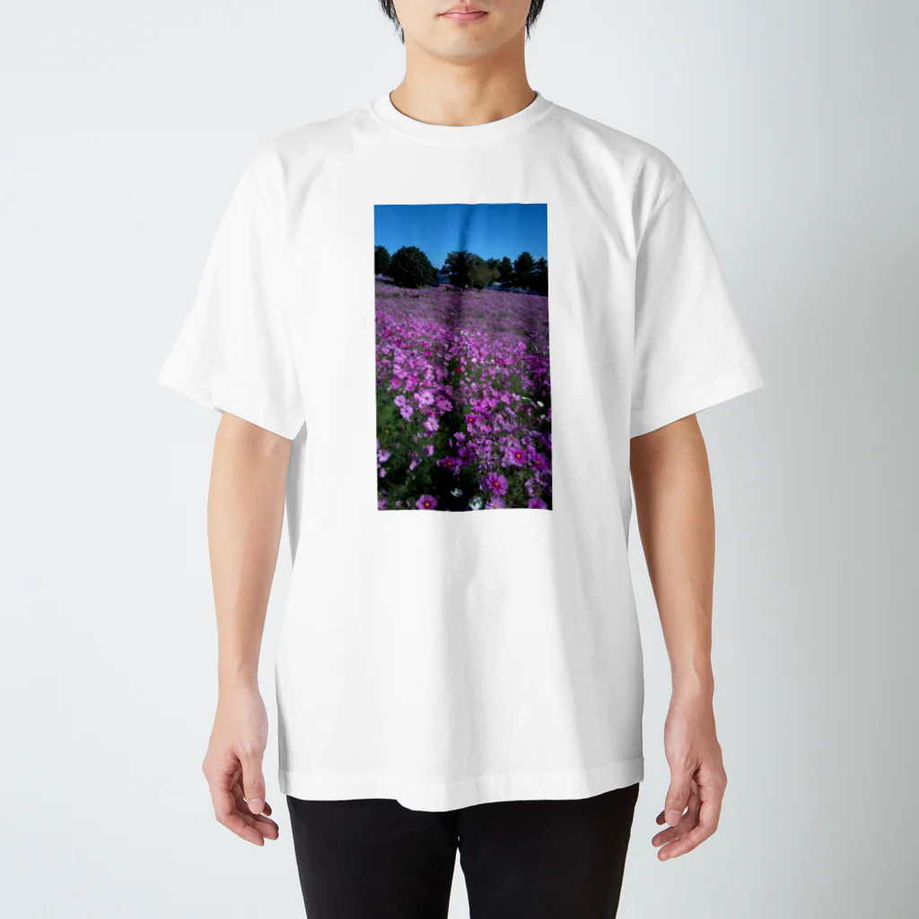 stigmaの秋桜 スタンダードTシャツ