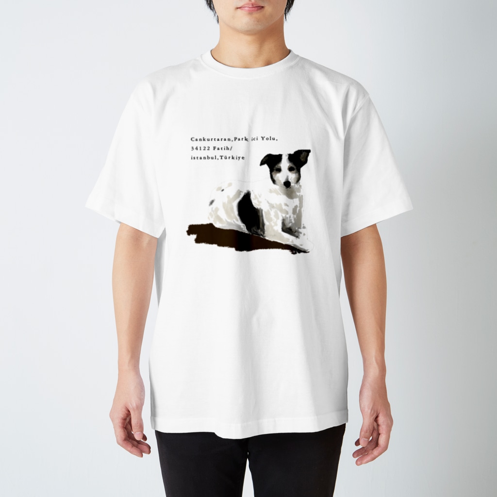 e r i k u r i nのトルコの野良犬さん（スルタンアフメト・モスク） Regular Fit T-Shirt
