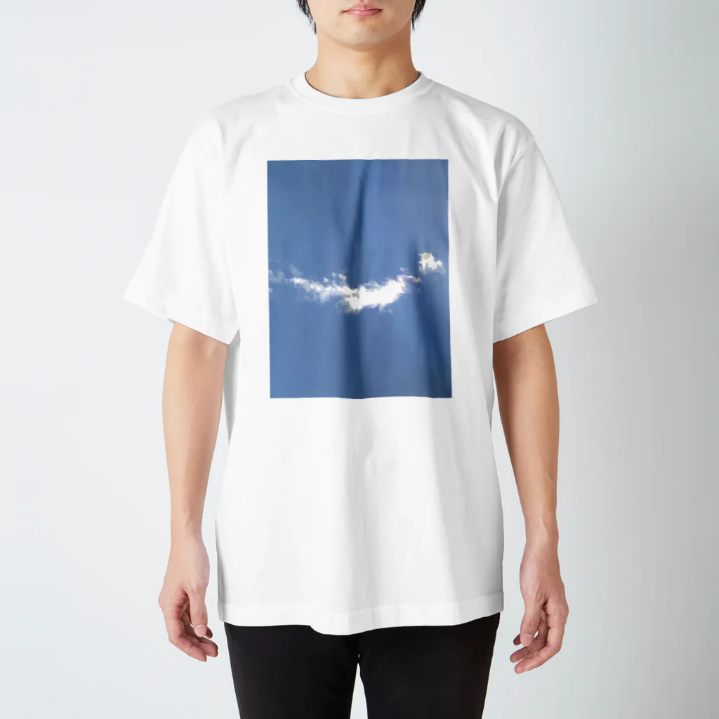 TATE3ショップのどこかの国の？ スタンダードTシャツ