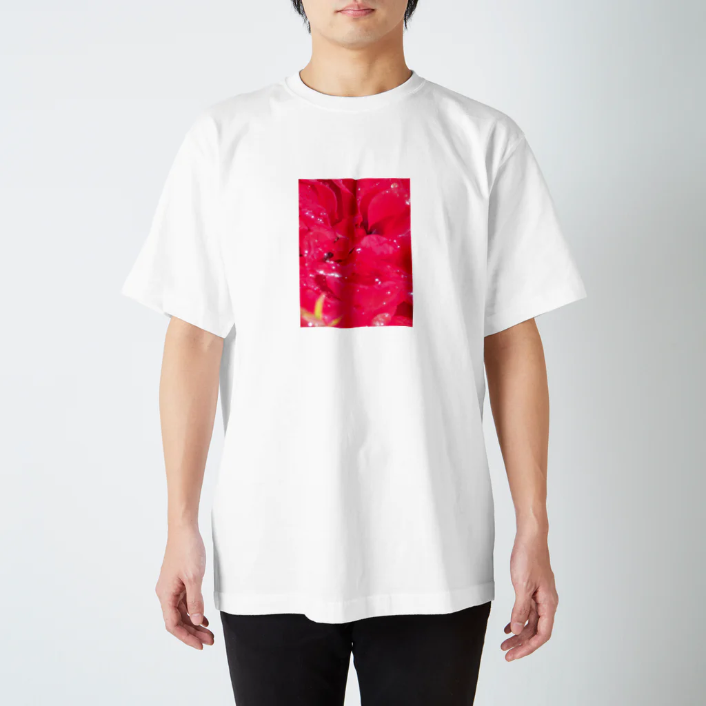 hanasoraの雨上がりの薔薇 スタンダードTシャツ