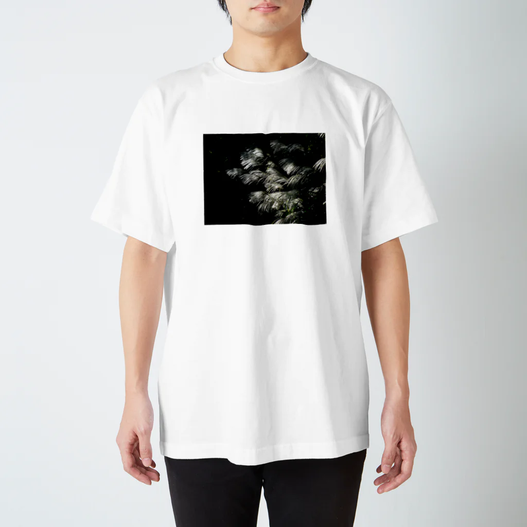 kikorikikori2014の輝くススキ スタンダードTシャツ