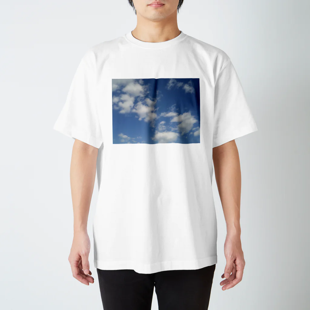 HALのアース スタンダードTシャツ