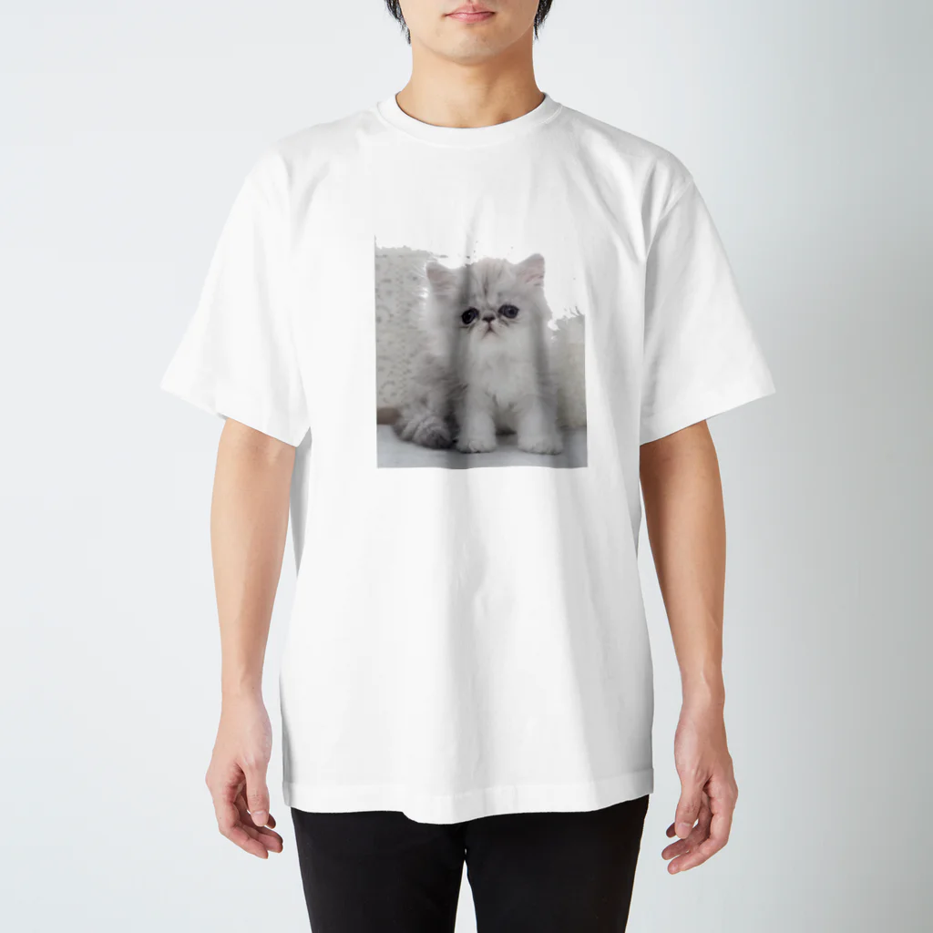 dog cafe lagunaのチンチラ子猫シルバー君 スタンダードTシャツ