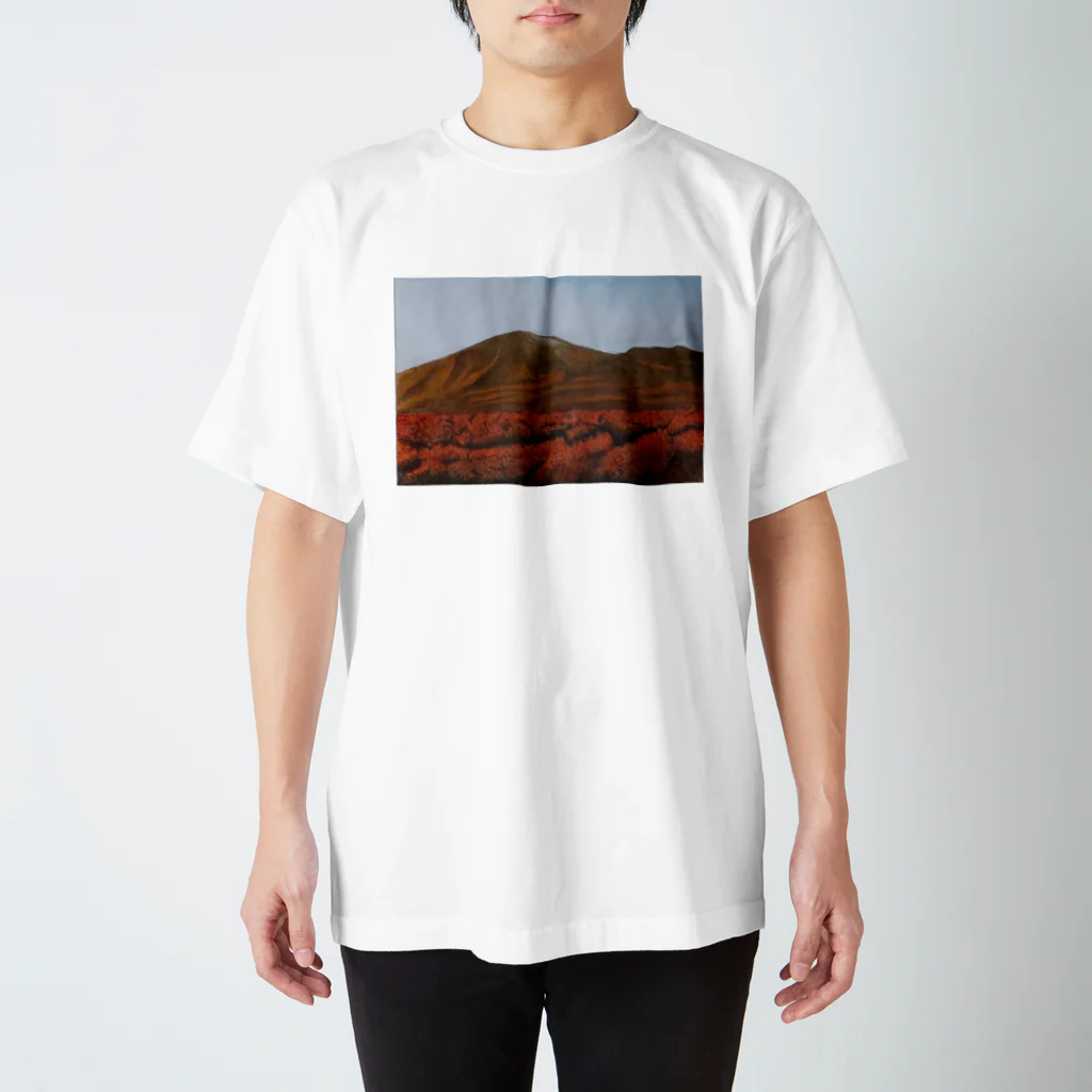 しろくろねこの浅間山 スタンダードTシャツ