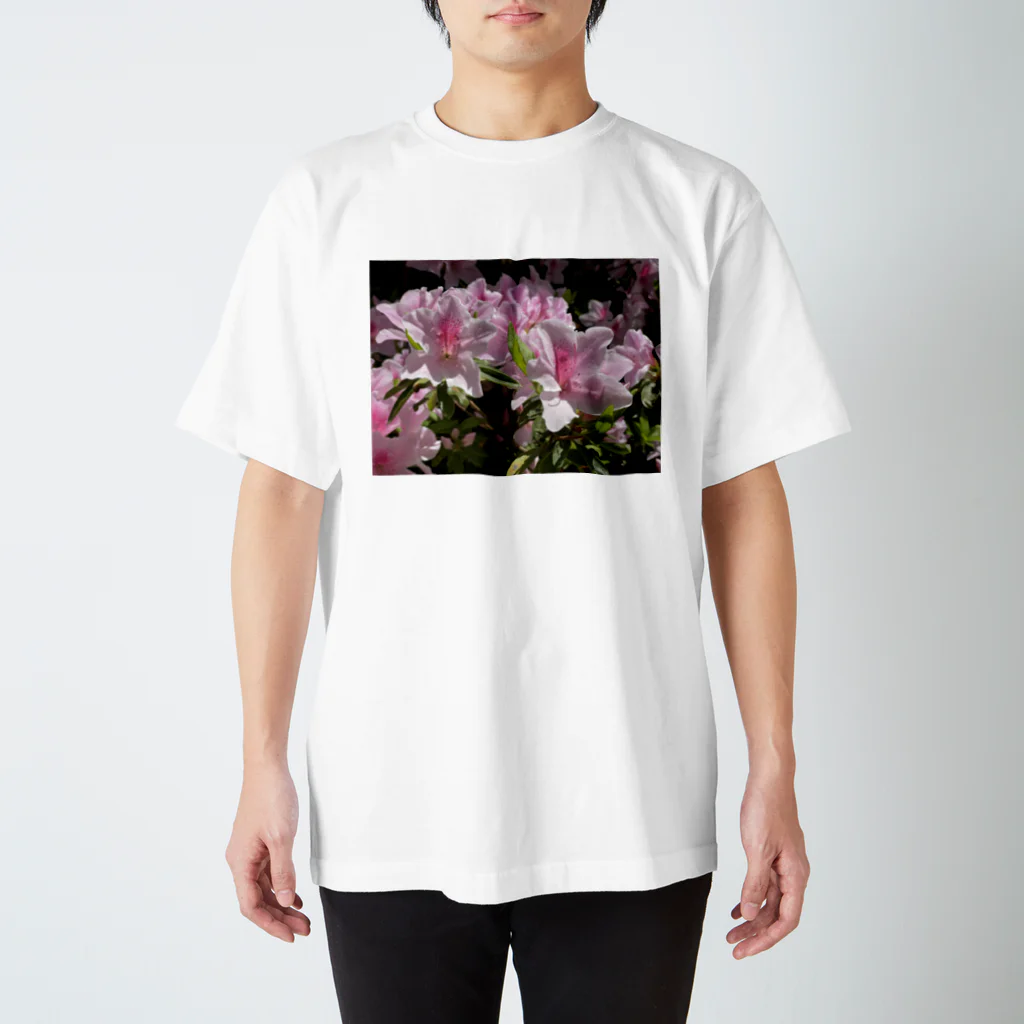 sadotrip | Delightのsadotrip | 花咲く スタンダードTシャツ