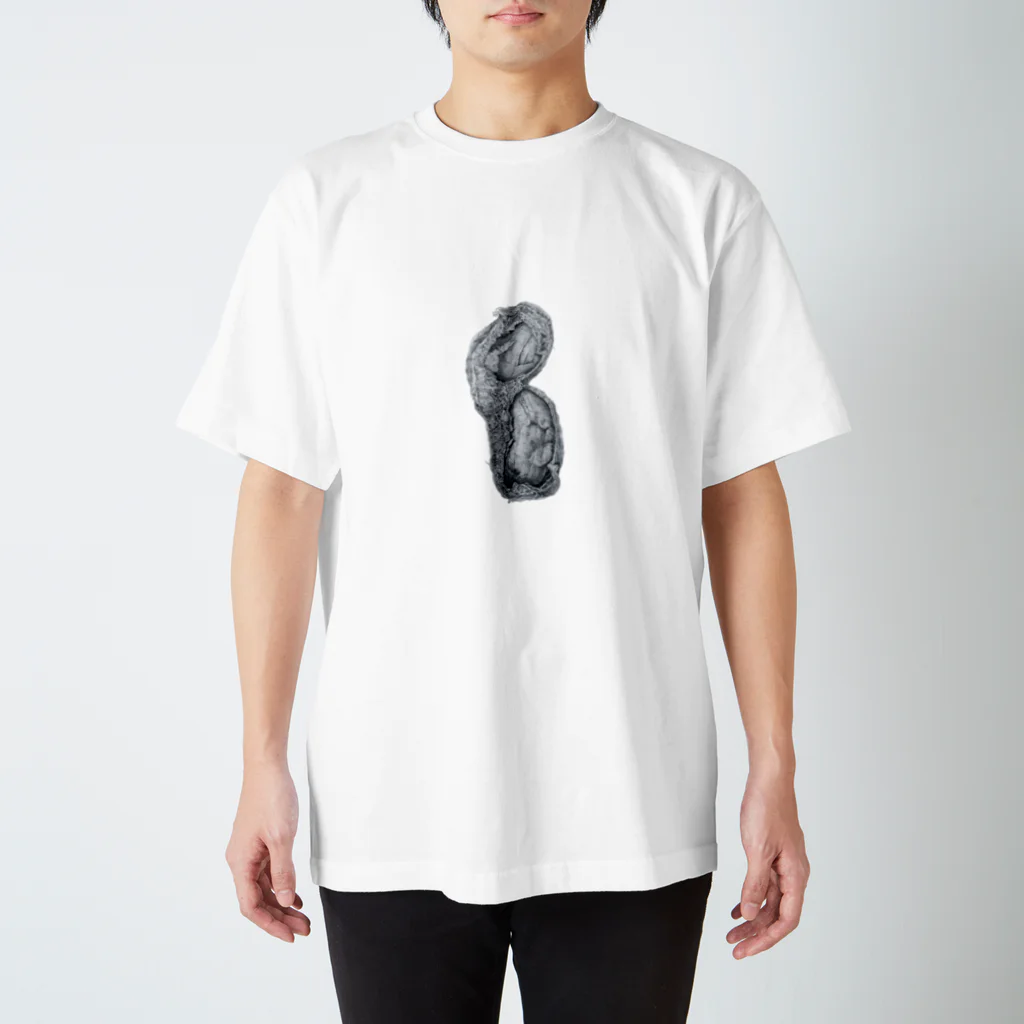 saeko_ishinakaのピーナッツ Regular Fit T-Shirt