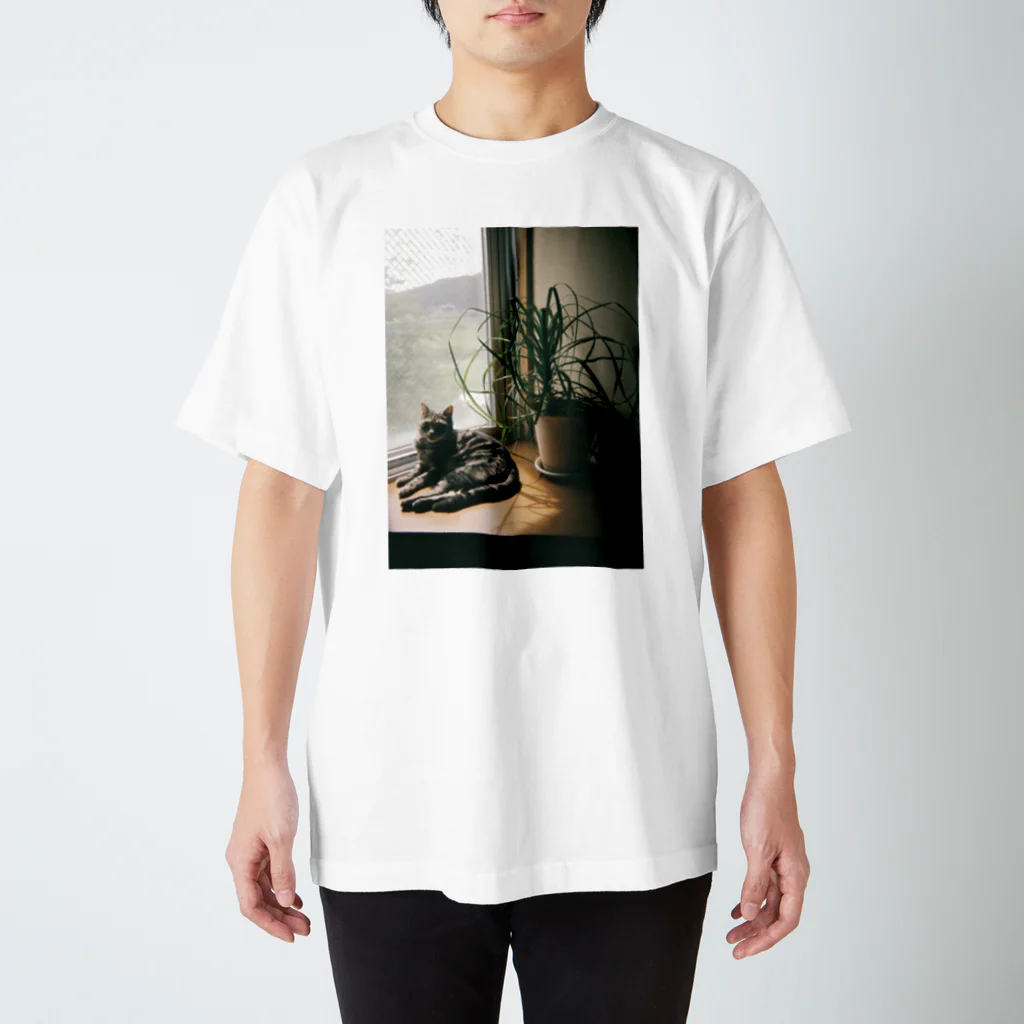 毎日ころりんの猫の写ルンです Regular Fit T-Shirt