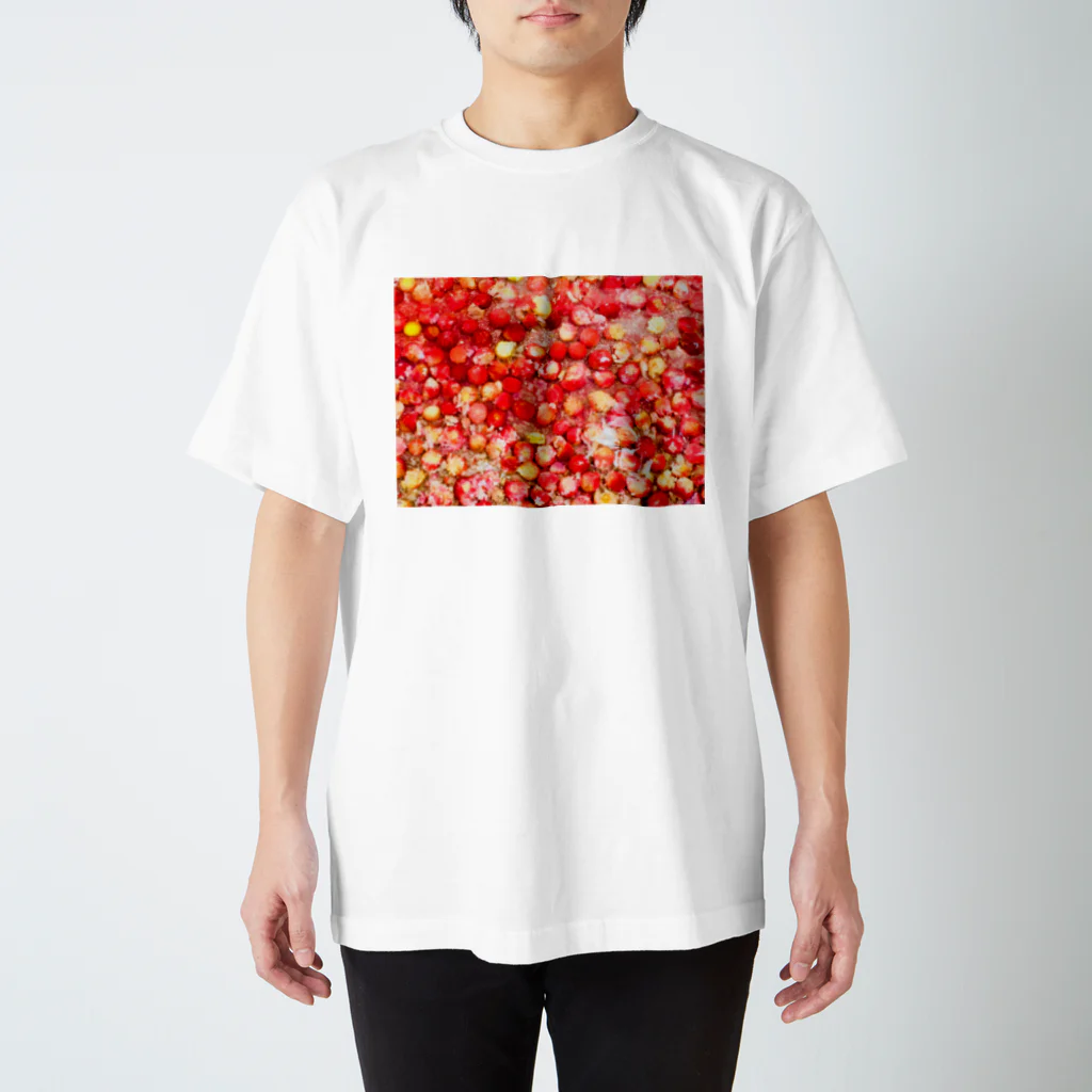 ぽきみす🍤の赤い実Tシャツ スタンダードTシャツ