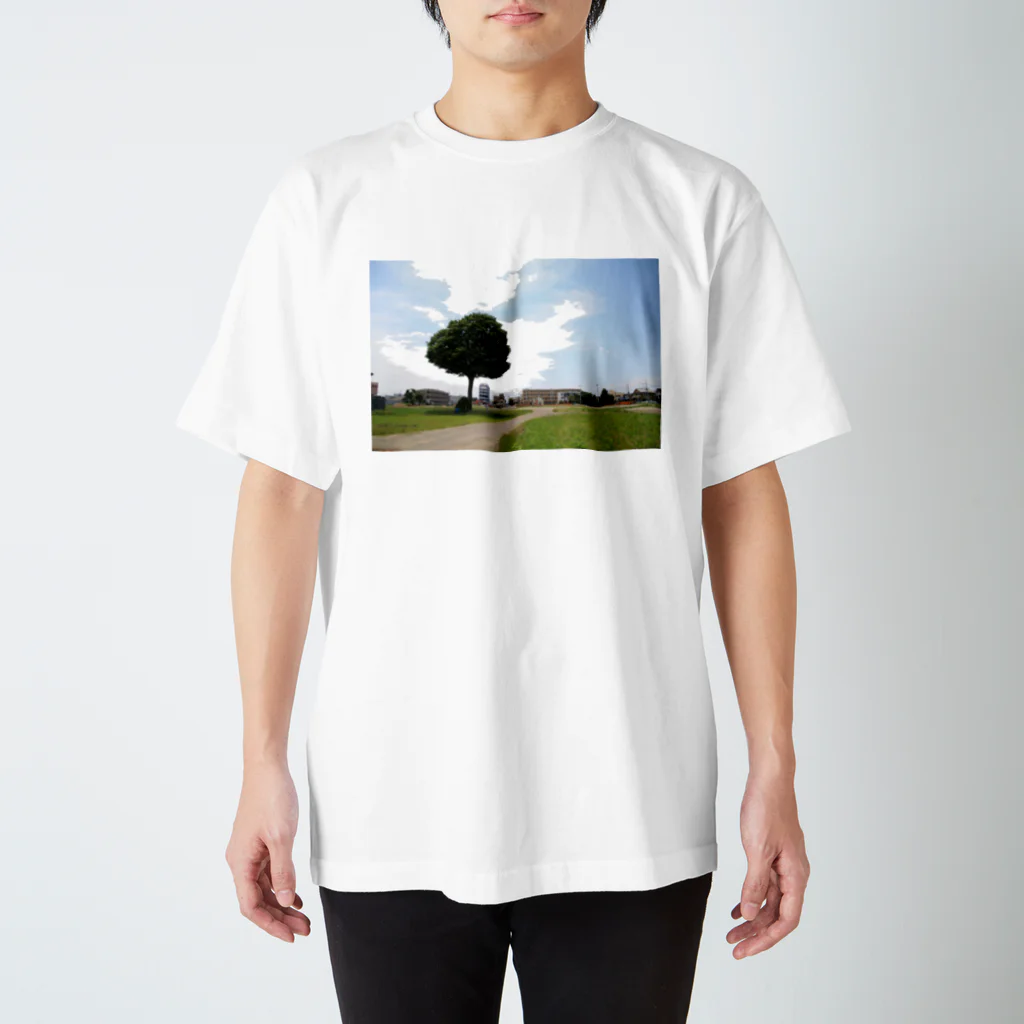 けやきのみらいの大けやきと道（写真） スタンダードTシャツ