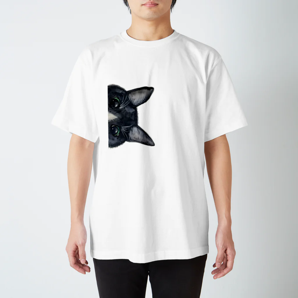 空色の猫-Solairononekoのなんにゃ？ スタンダードTシャツ