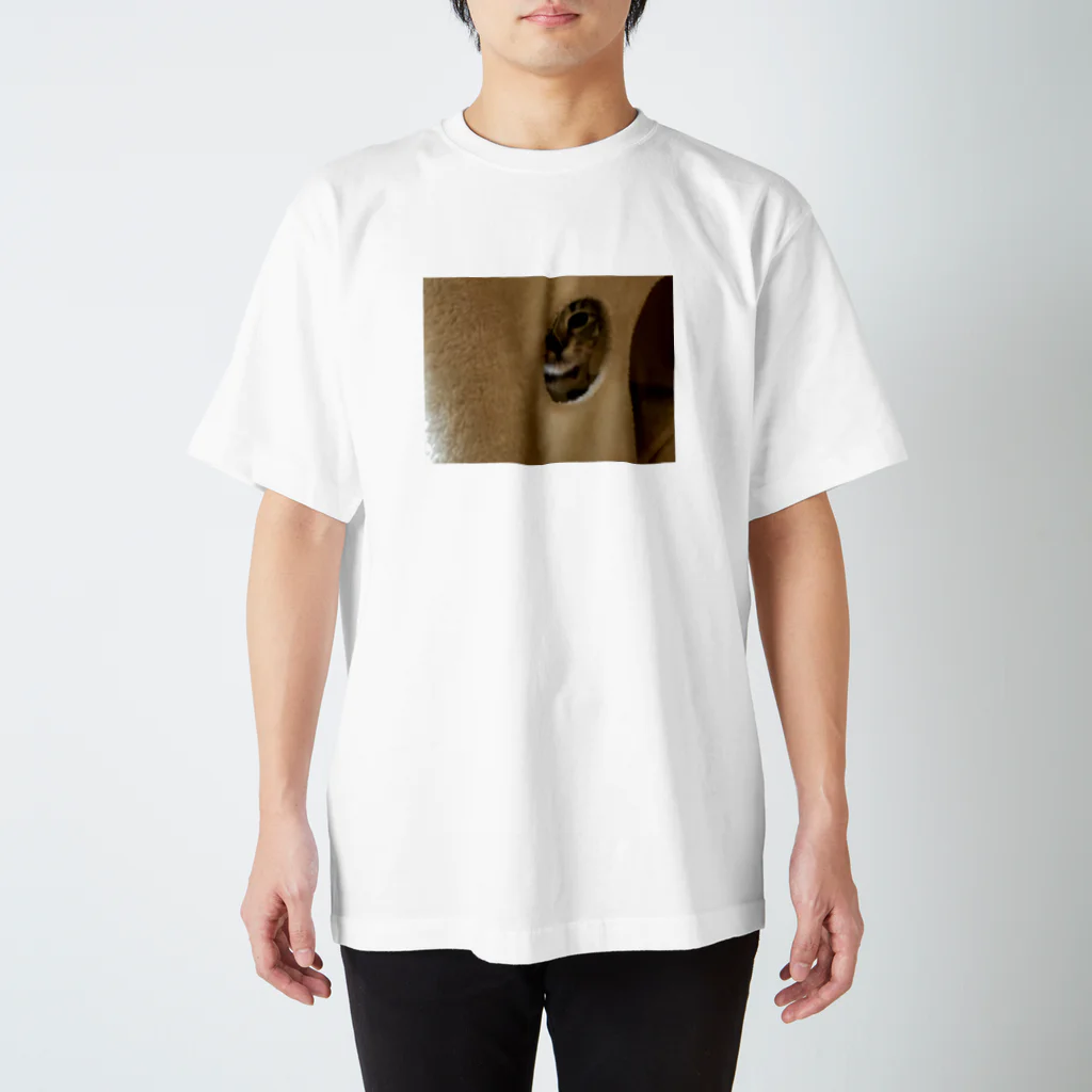 shirochansの黄昏れにゃんこ Regular Fit T-Shirt