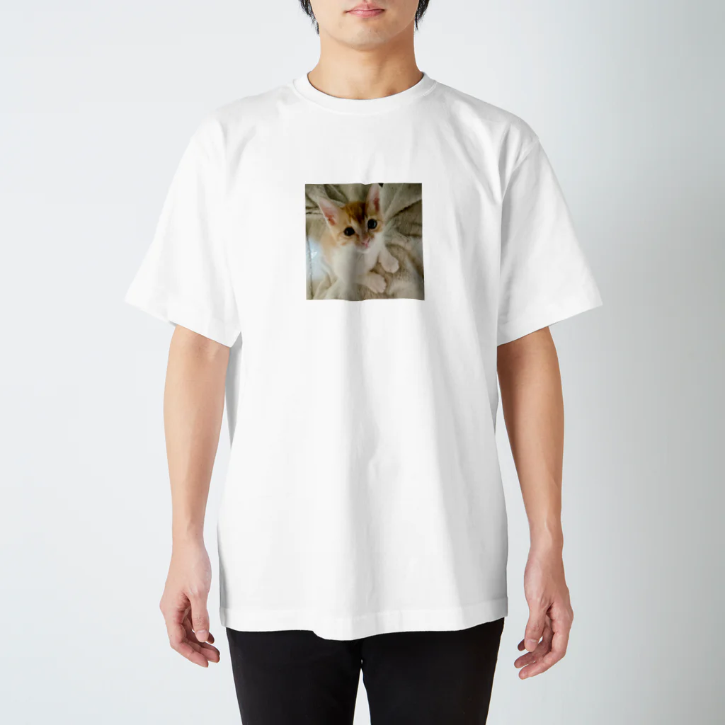 shirochansの保護猫ちゃん スタンダードTシャツ