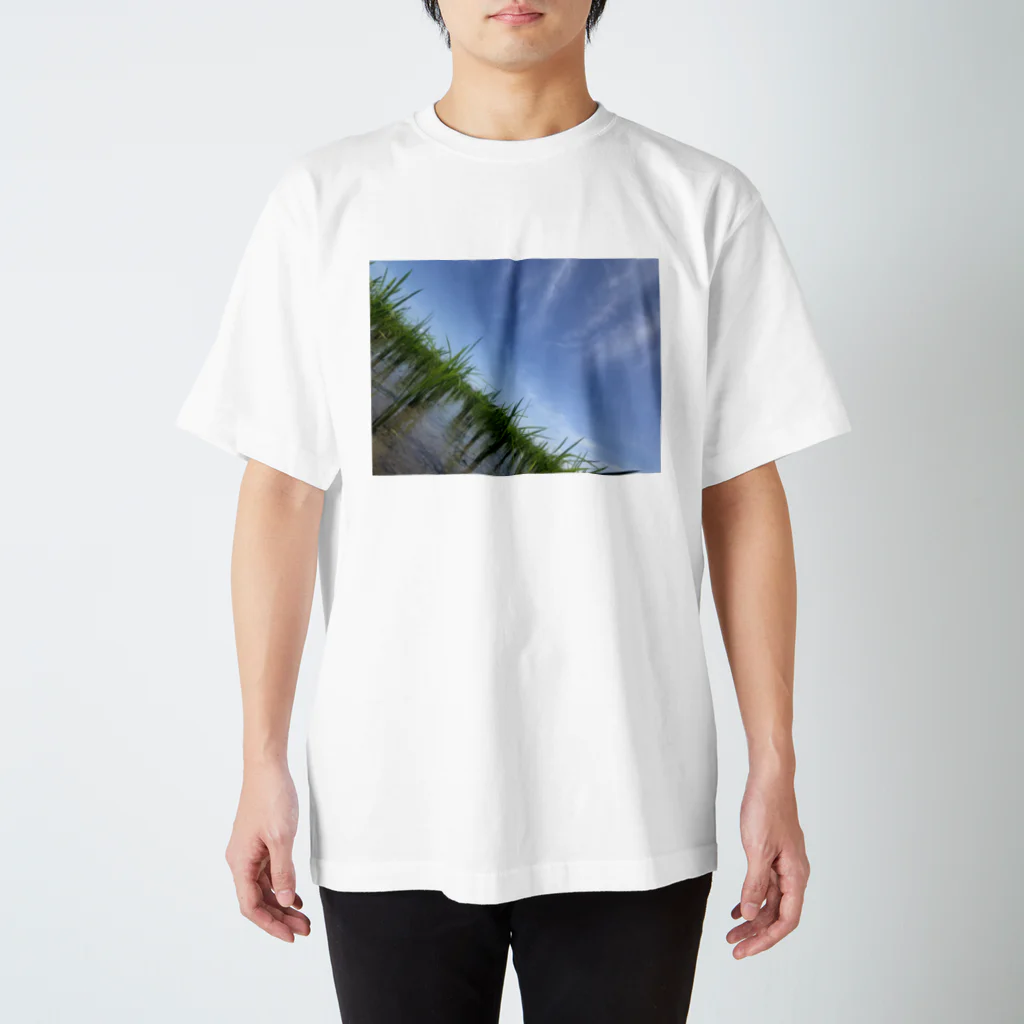 soranoの田んぼと空 スタンダードTシャツ