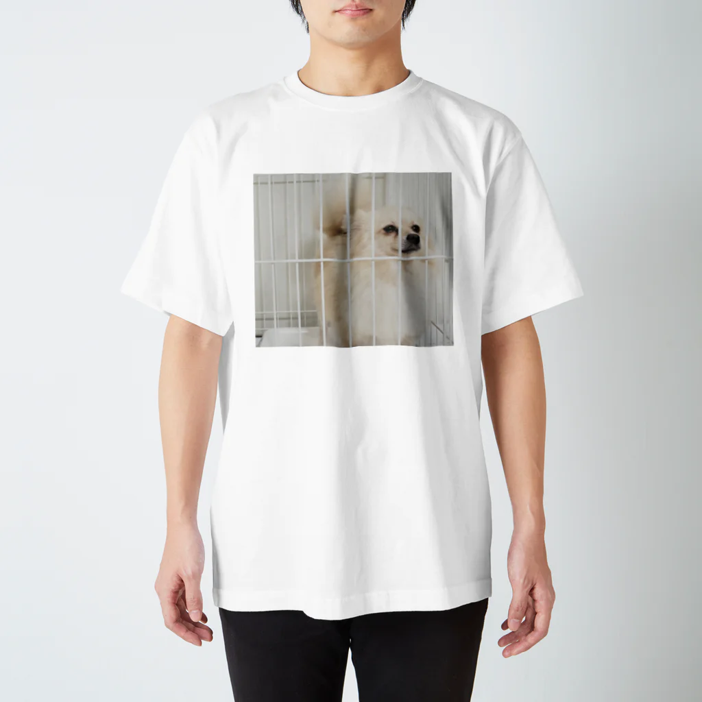うるマートのシンプルかわいいポメラニアンのうる(実写の犬) スタンダードTシャツ