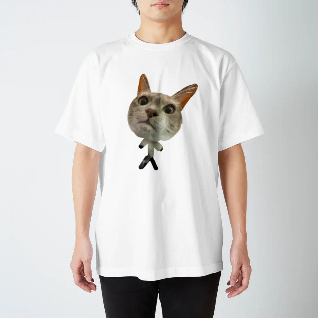 自粛のうちの猫かわいい スタンダードTシャツ