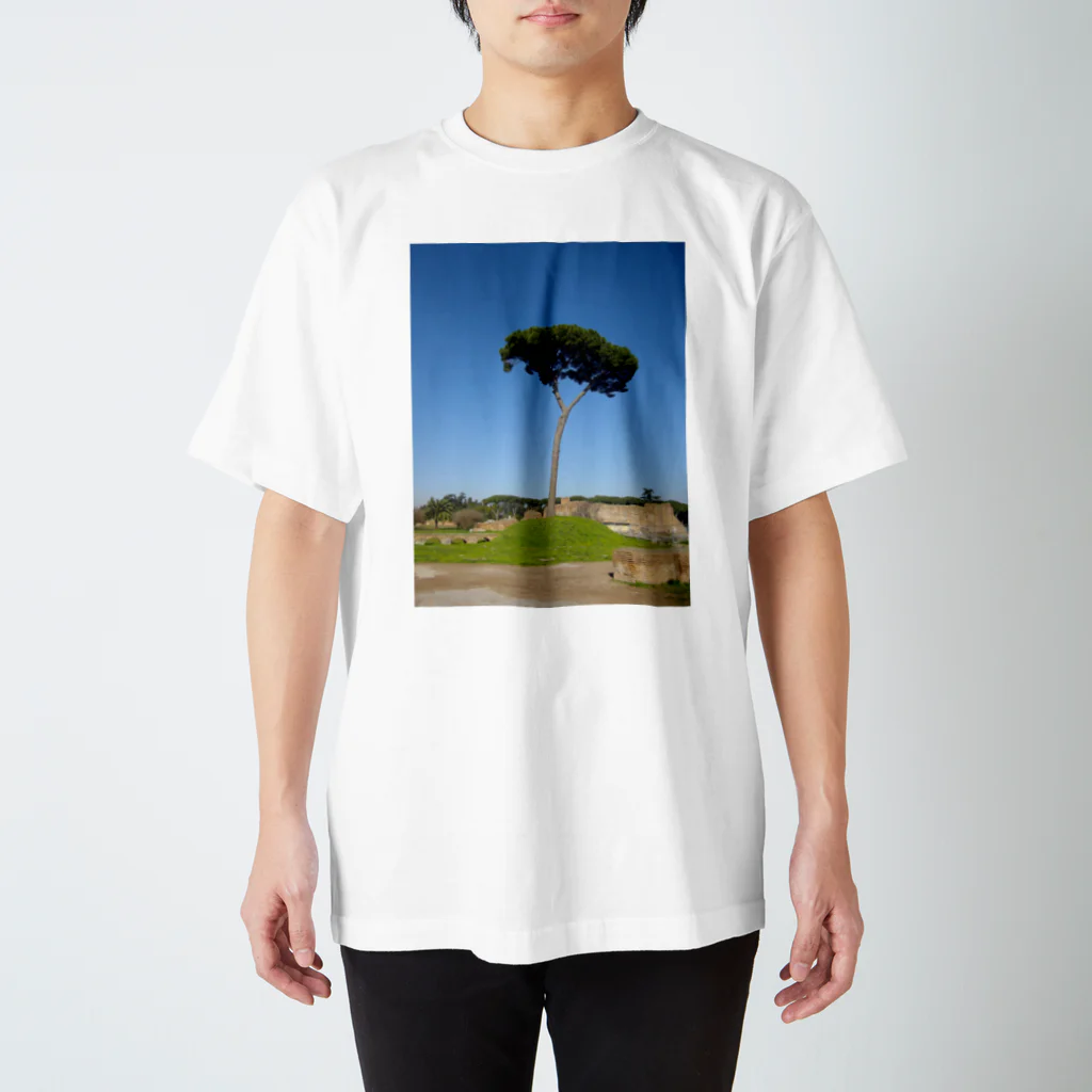 memory treeのどこまでも澄み渡る Regular Fit T-Shirt