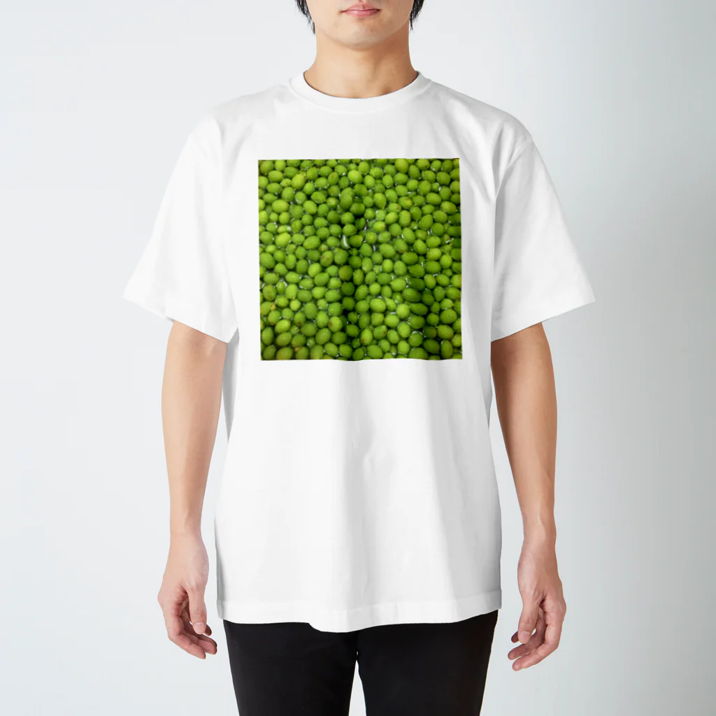 ここあのおみせの山椒 Regular Fit T-Shirt