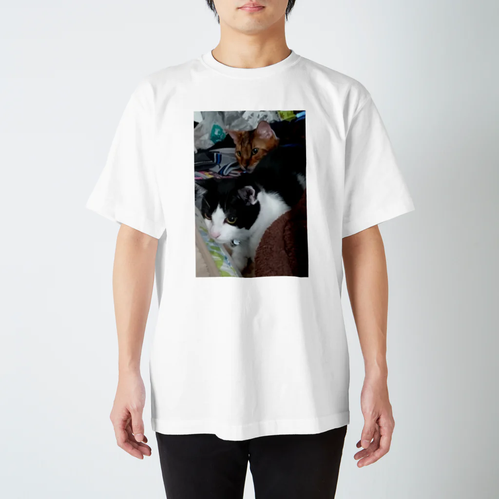 モフタヌのウシ君とお兄ちゃん猫、いたずら中 スタンダードTシャツ