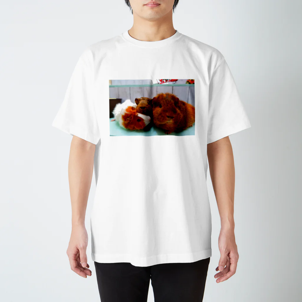 あかね◡̈4モルの飼い主🔔🧀🐹の焼き鳥モルモット ぽんぽち ねぎま 月見 スタンダードTシャツ