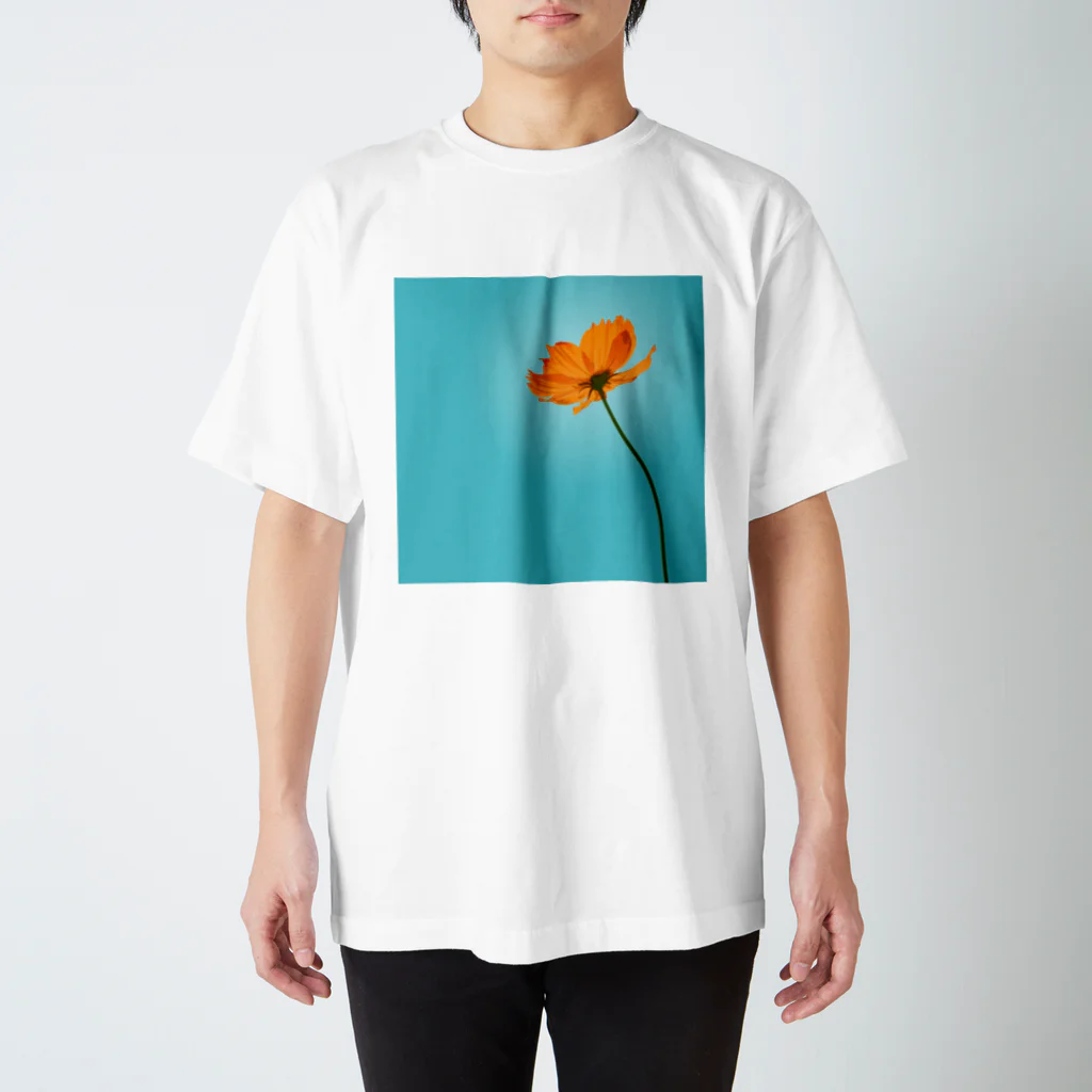 とりかごのキバナコスモス スタンダードTシャツ