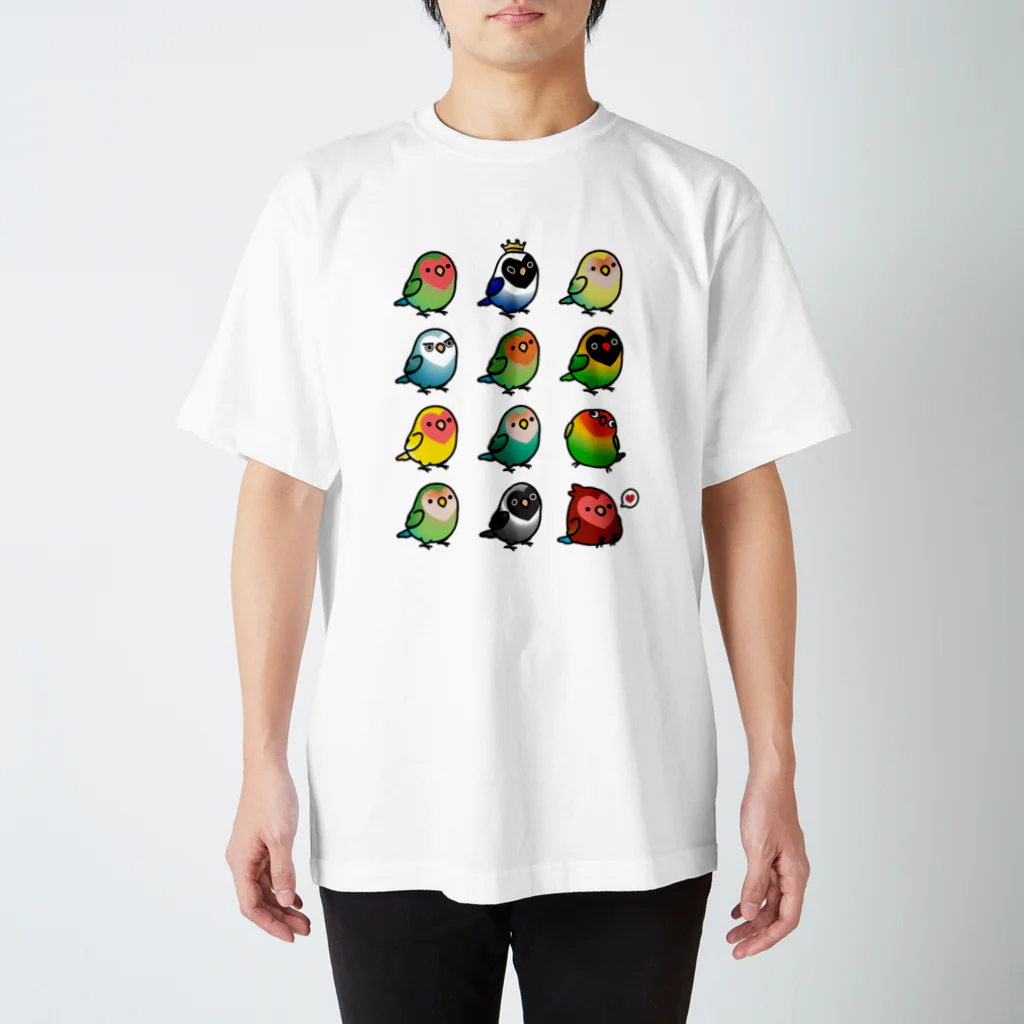 Cody the LovebirdのChubby Bird ラブバード大集合　（コザクラインコ＆ボタンインコ）  Regular Fit T-Shirt