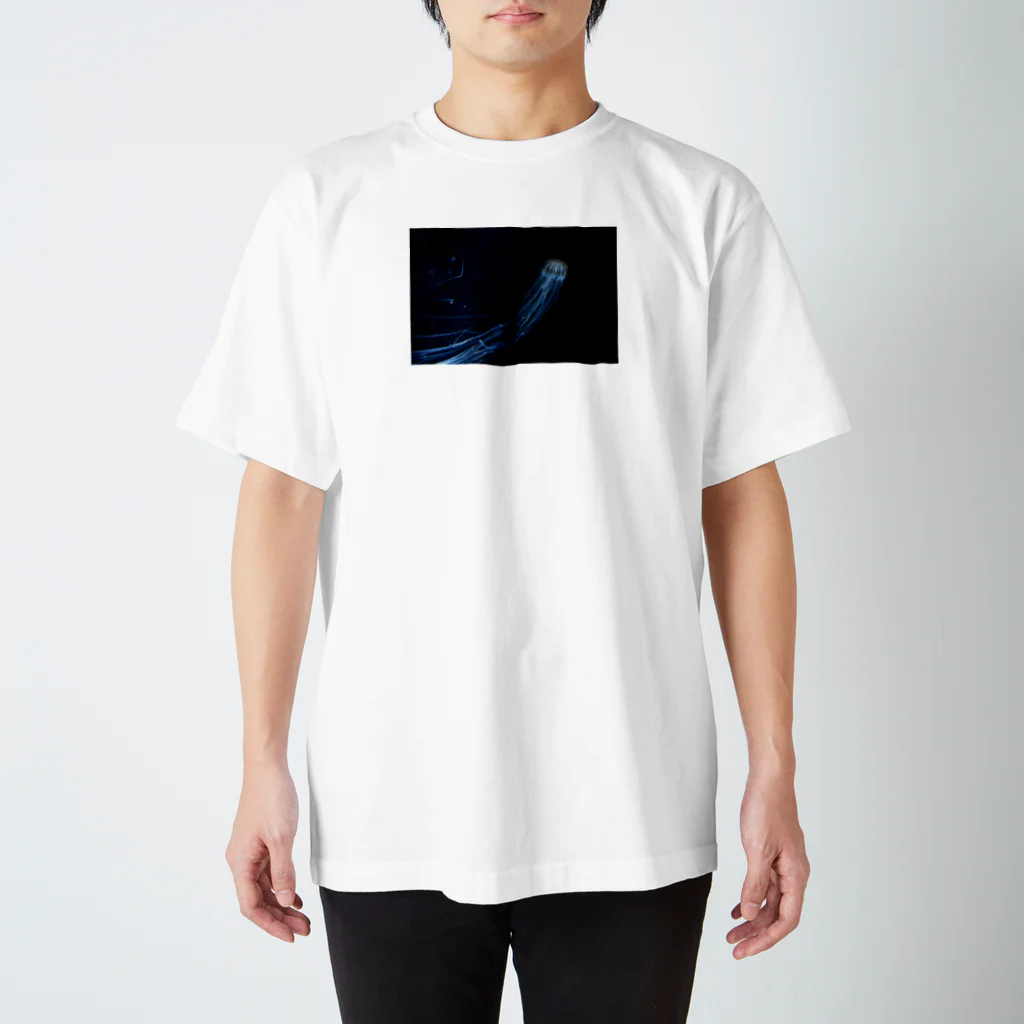 aryum23のアカクララ スタンダードTシャツ