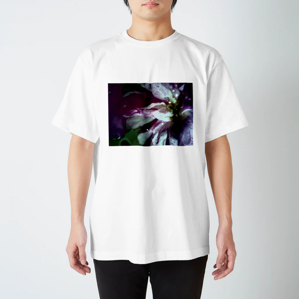 防空壕小林の花2 スタンダードTシャツ