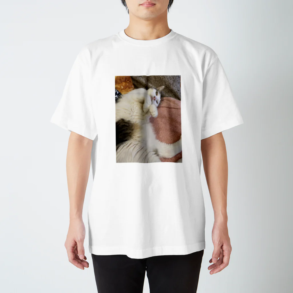 猫山サン家の慎之助 Regular Fit T-Shirt