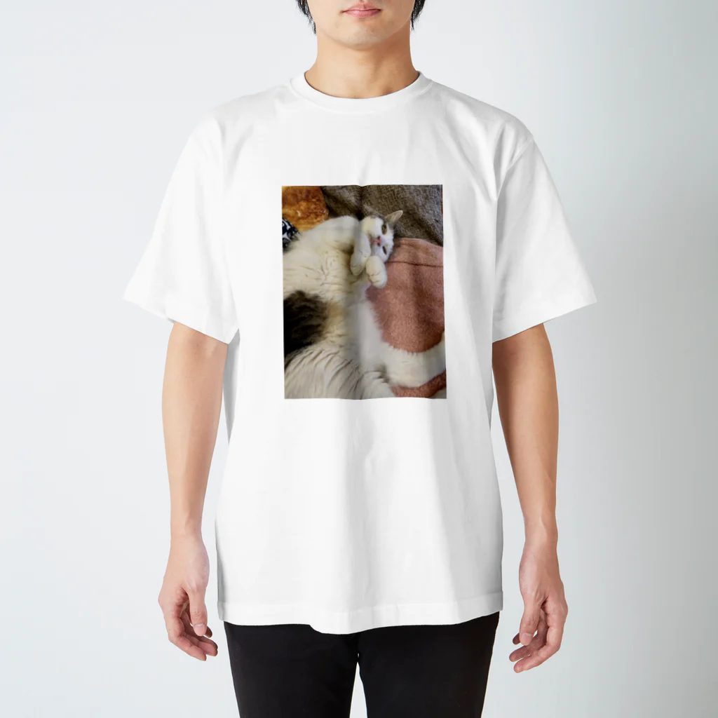 猫山サン家の慎之助 スタンダードTシャツ