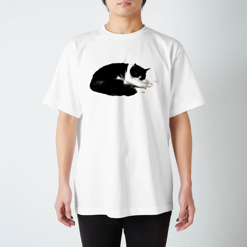 ねこのしっぽのはなちゃん スタンダードTシャツ