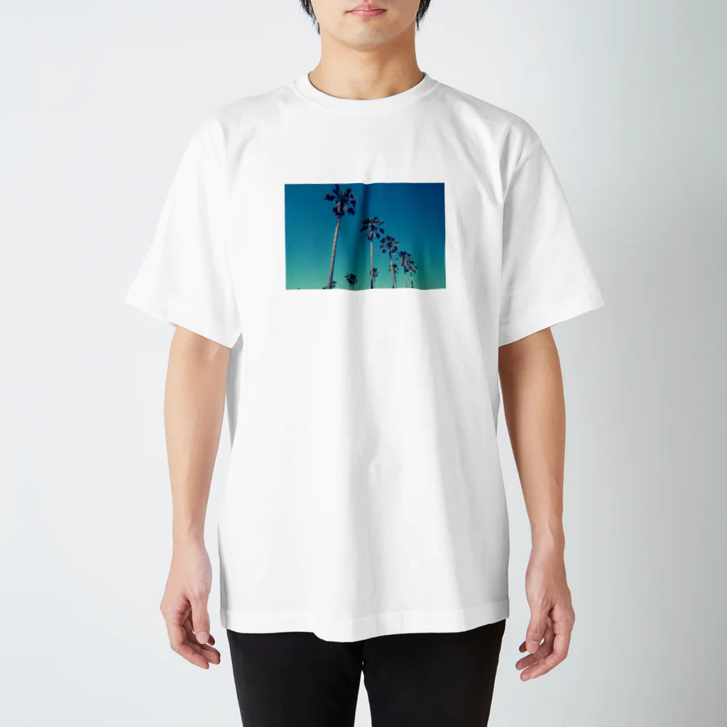 KAWANOのアオゾラヤシ Regular Fit T-Shirt