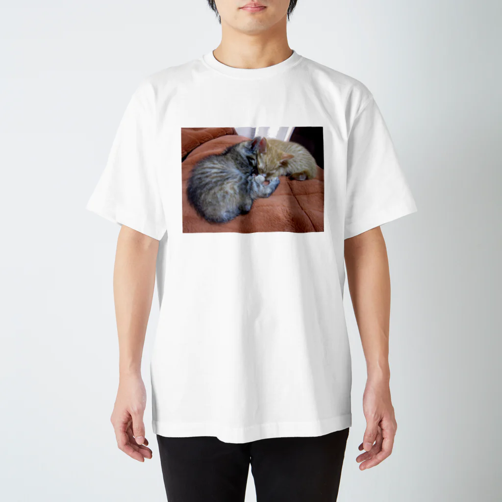 hikamiのイブキたちの日常 Regular Fit T-Shirt